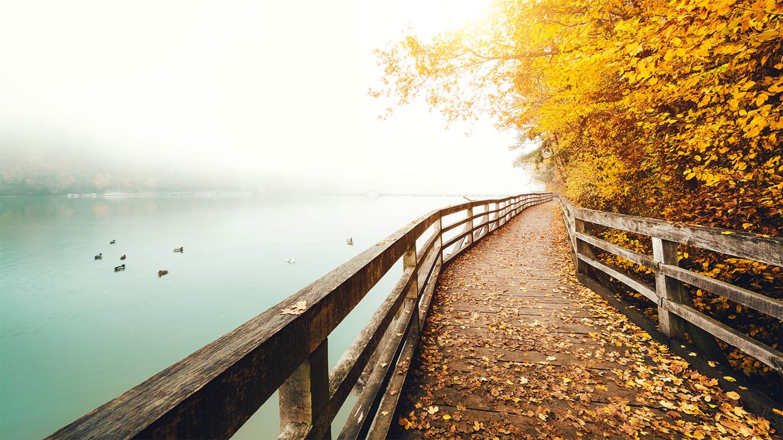 Wooden footpath along the water Wooden footpath along the water
