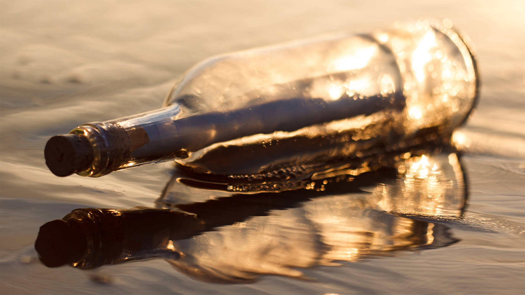 Adjusting the Value of the VAT  Goods returned  Bad-debts