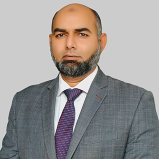 Saeed A Chaudhury  