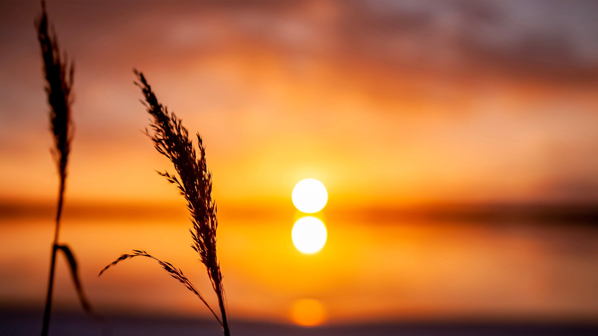 Na terminowych wpłatach podatków wciąż można zarobić