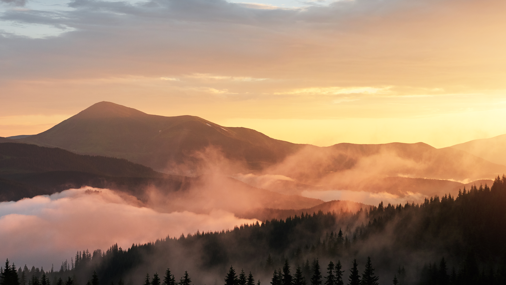 Grupy VAT od 1 stycznia 2023 roku