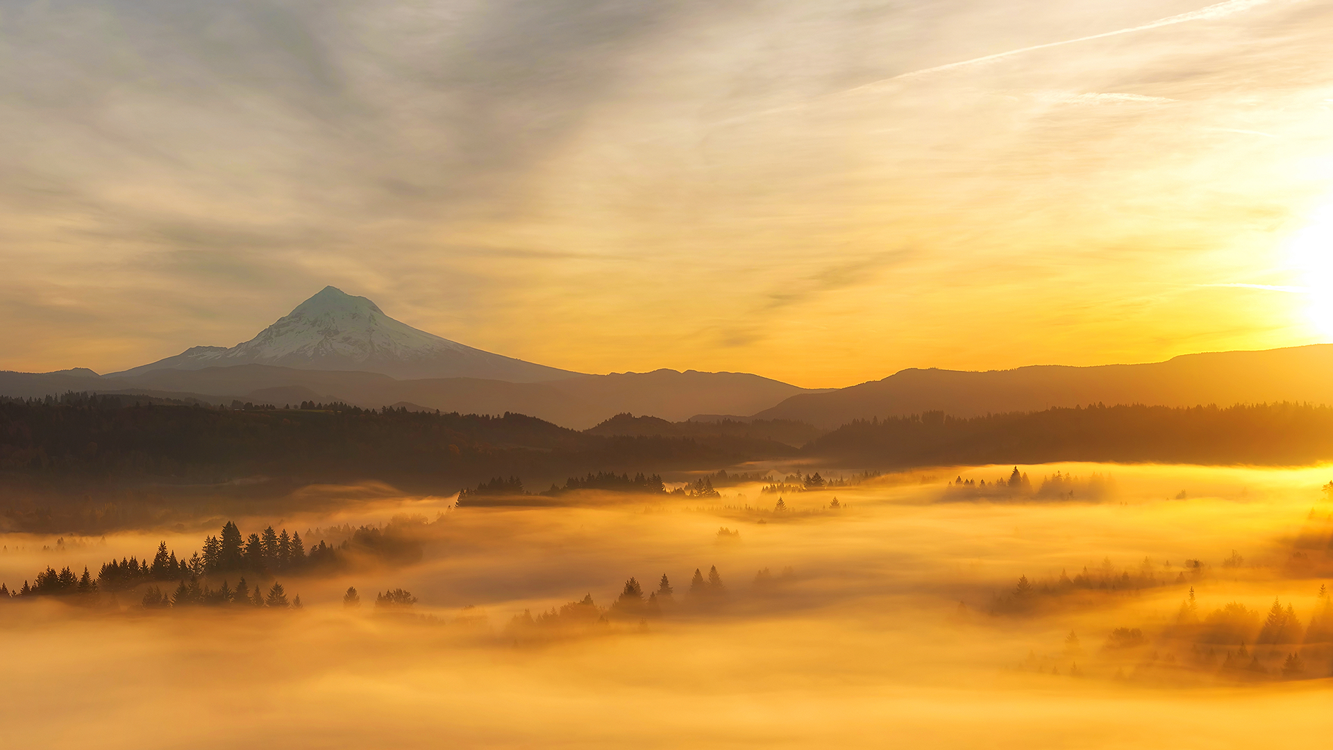 Rozporządzenie wykonawcze CBAM od 28 marca – jakie kluczowe zmiany dla firm?
