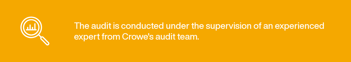 Financial statement audit