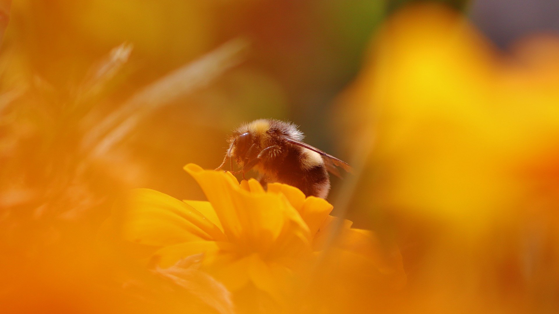 Extended deadlines for financial statements and CIT returns