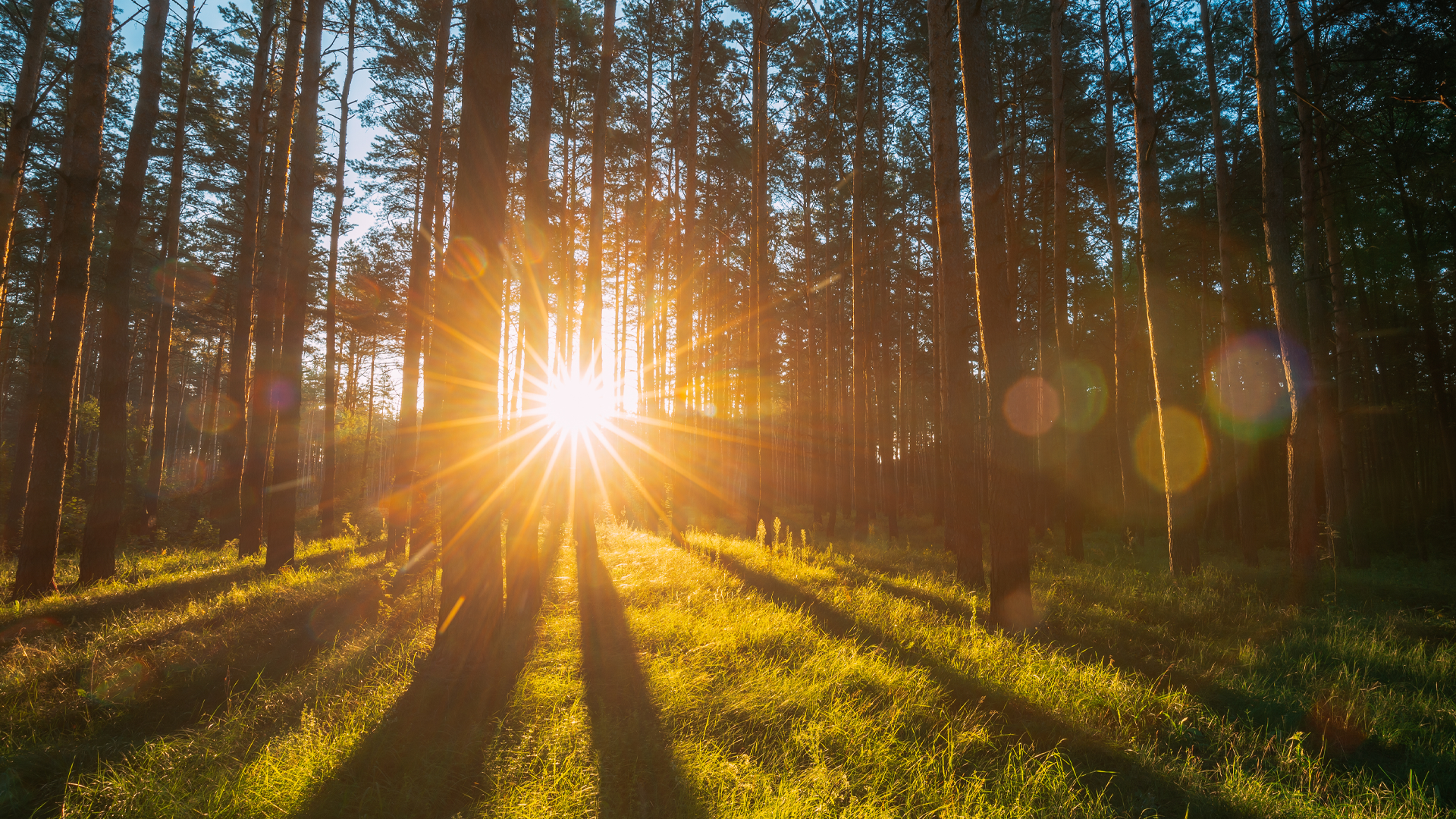 ESG Breakfast – a sustainable start to your day!