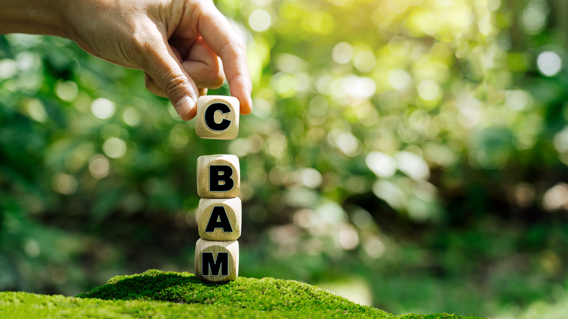 Implementation of the CBAM authorised notifier system – last call