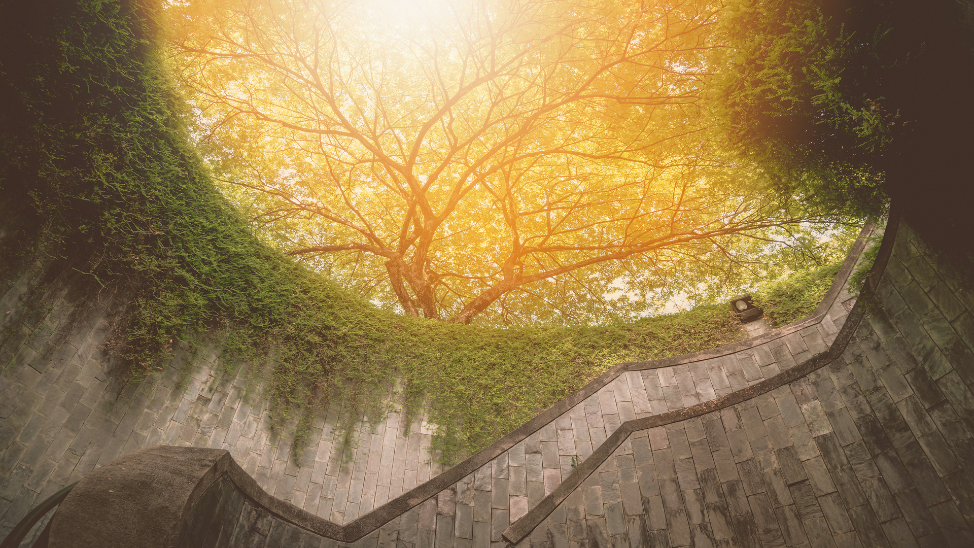 Registering a Foreign Company in Singapore