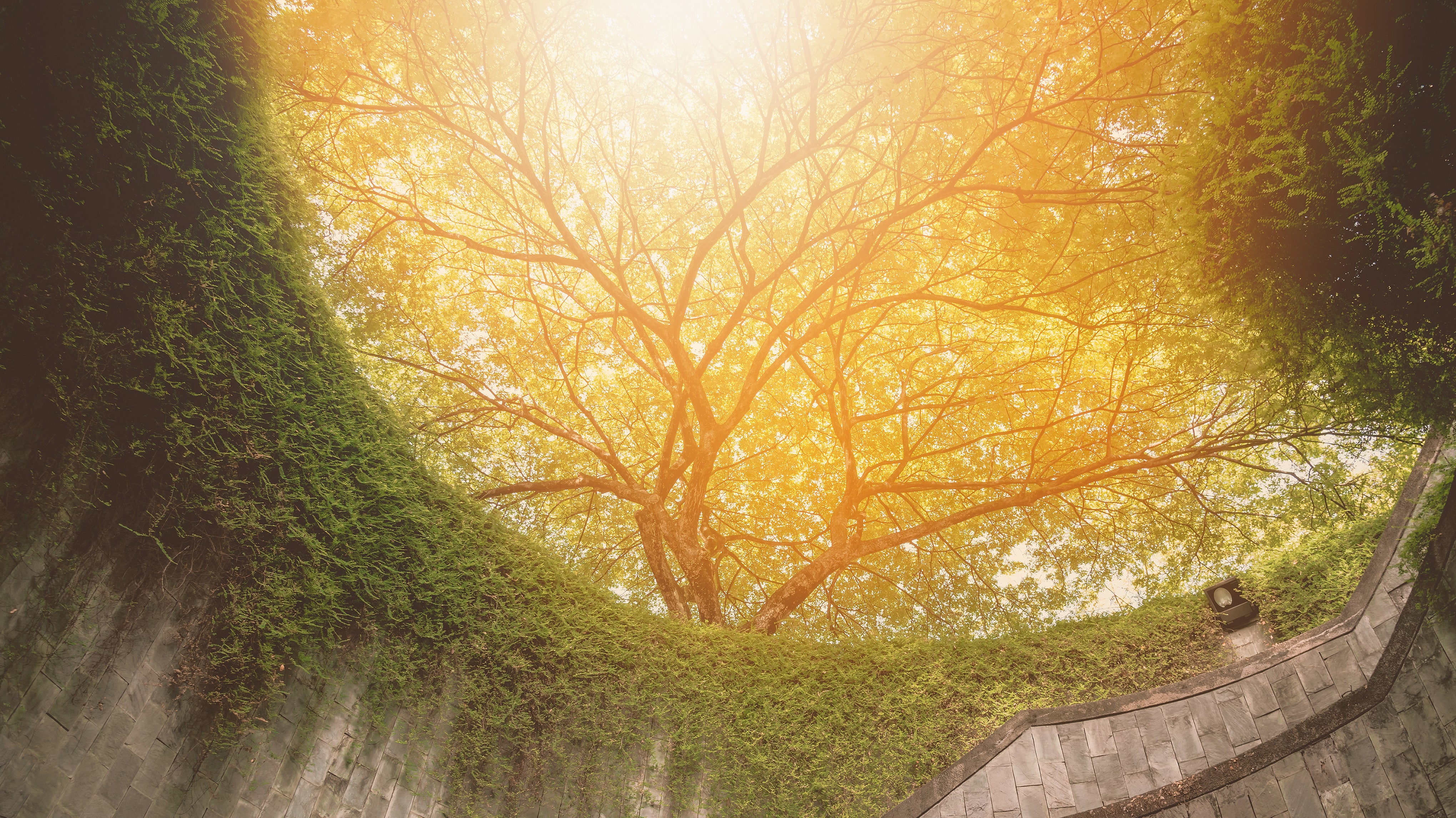 IRAS Publishes Summary of Income Tax Treatment of COVID-19-Related Payouts to Businesses and Individuals