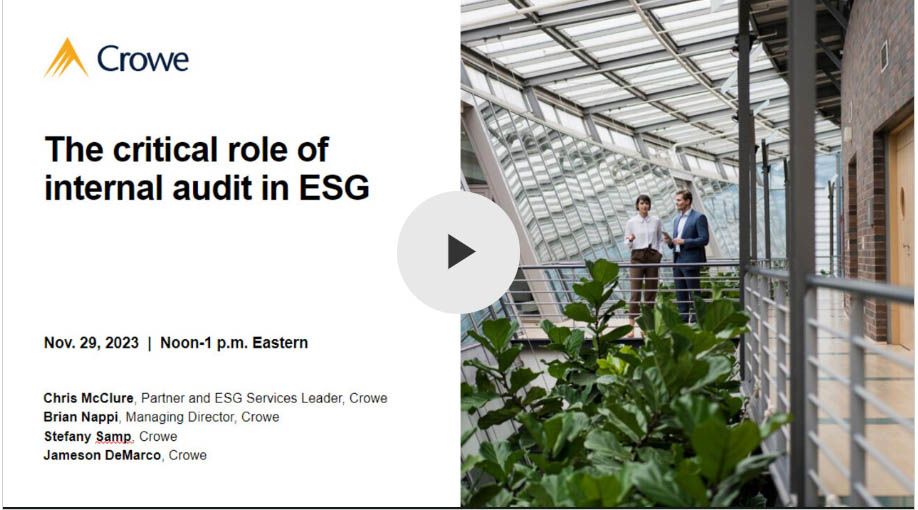 Posnetek webinarja - Ključna vloga notranje revizije pri ESG