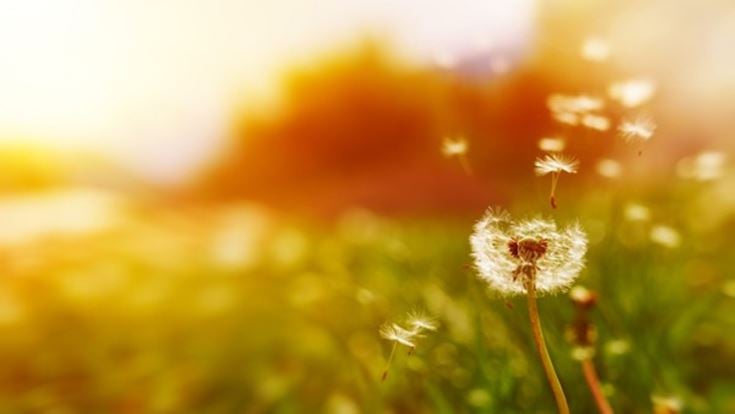 Ste pripravení na Pilier II?