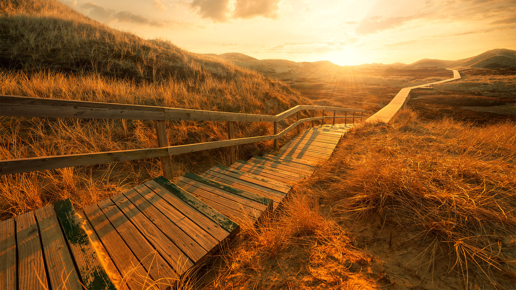 relocation business from Ukraine to Slovakia