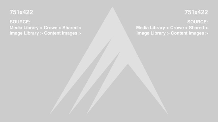 Large Placeholder