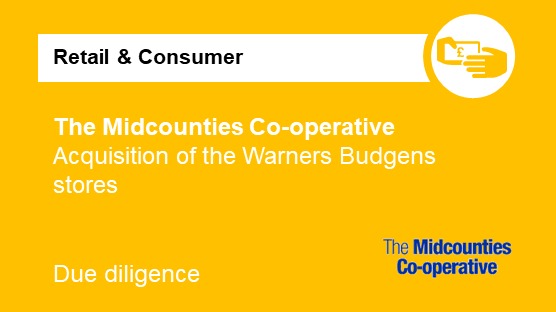 financial due diligence