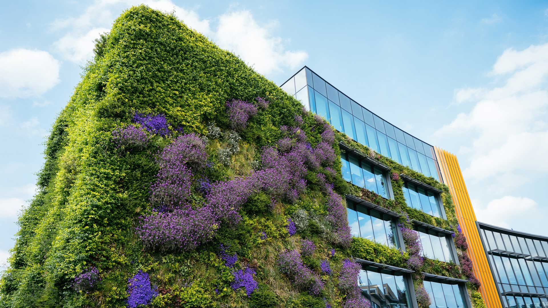 Building with wall garden