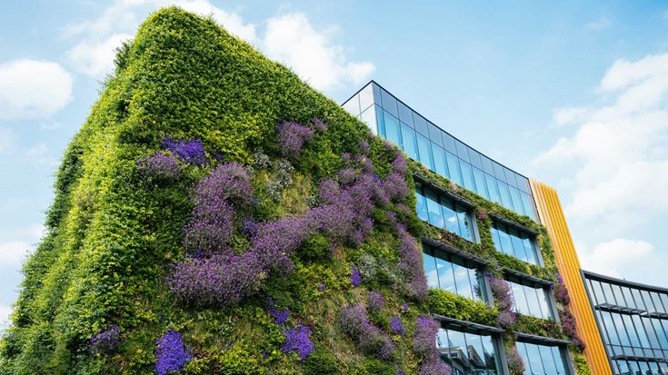 Building with wall garden