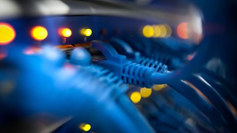 Cables going into plugs