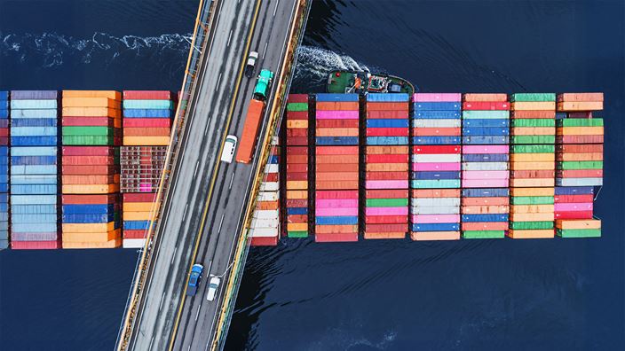 Cargo ship under bridge