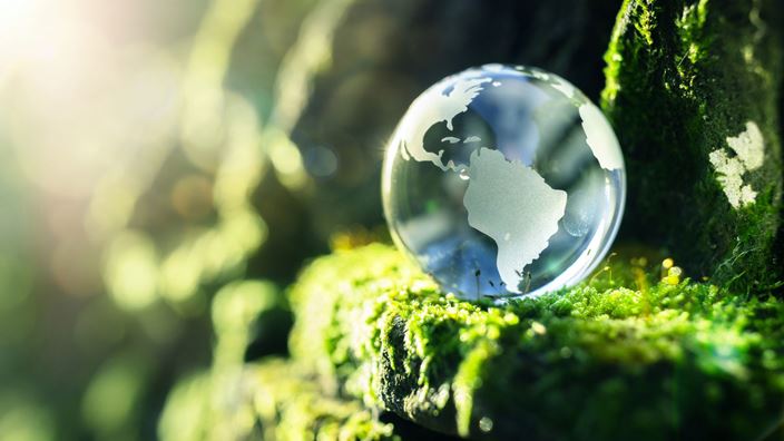 Glass globe on mossy rocks