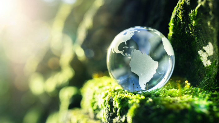 Greenwashing globe