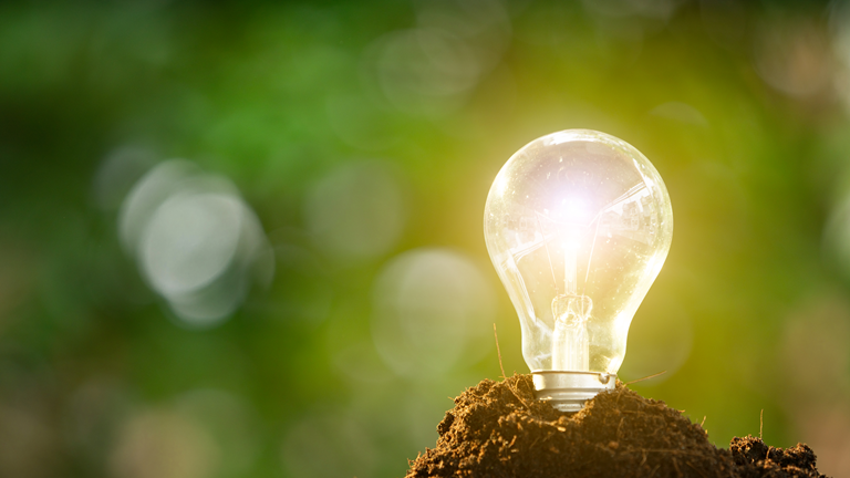 lightbulb