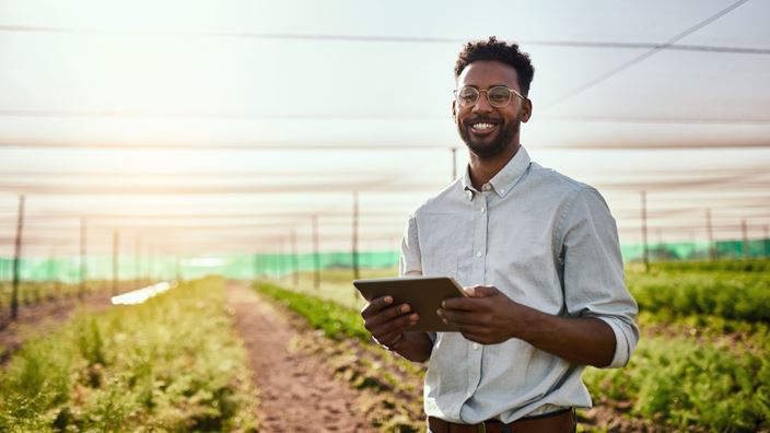 man in the fields