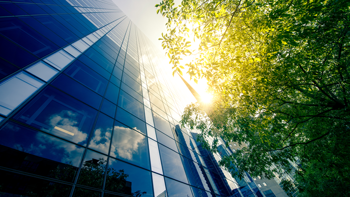Office skyscraper with trees outside