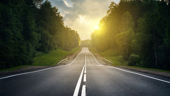 Road through forest at sunset