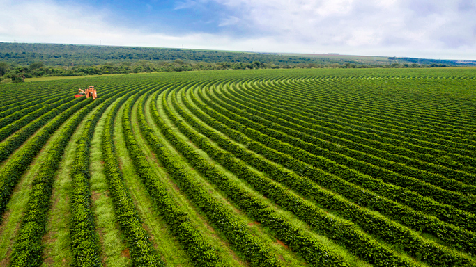 tractor harvesting in a field