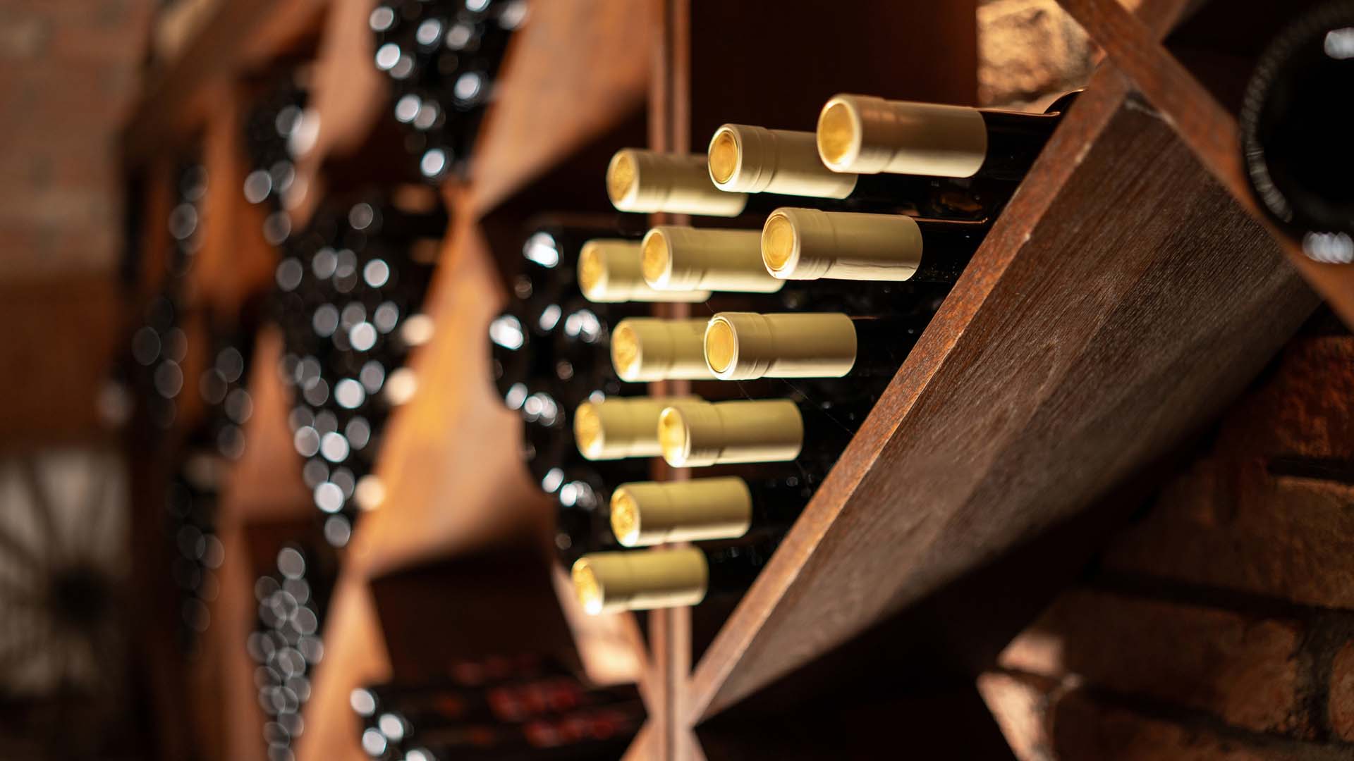 Wine bottles in cellar