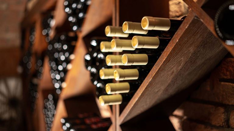 Wine bottles in cellar