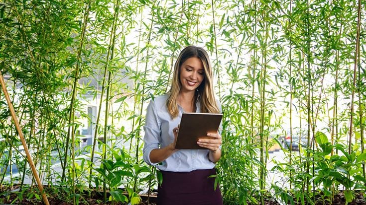 Woman on tablet infront of Bamboo