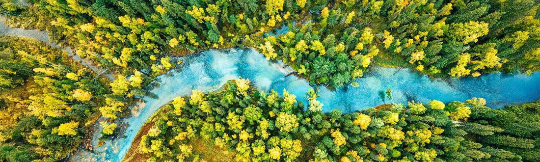Areal view of river through forest