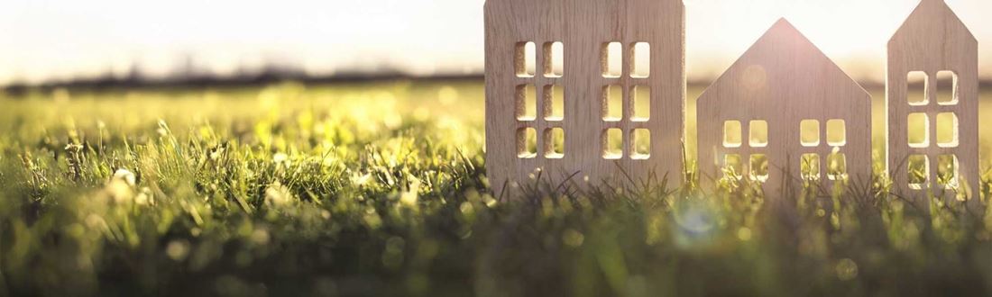 house-in-meadow