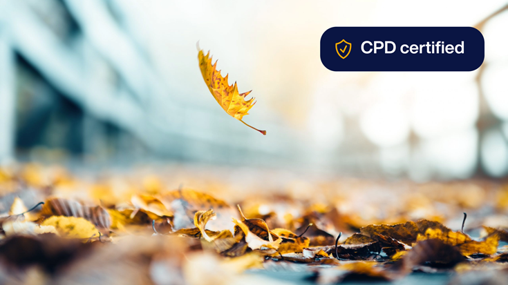 CPD