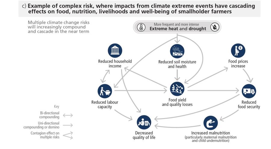 Example IPCC
