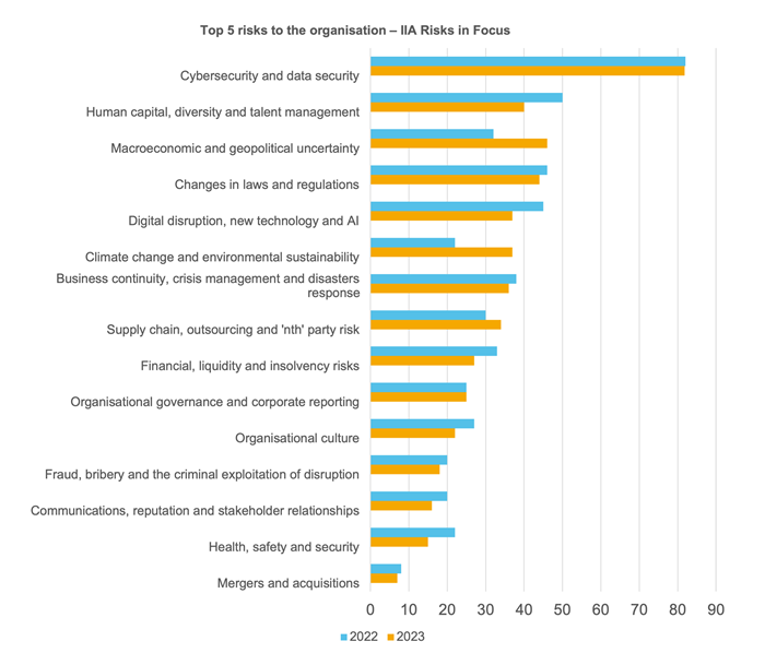 IIA Risks in Focus