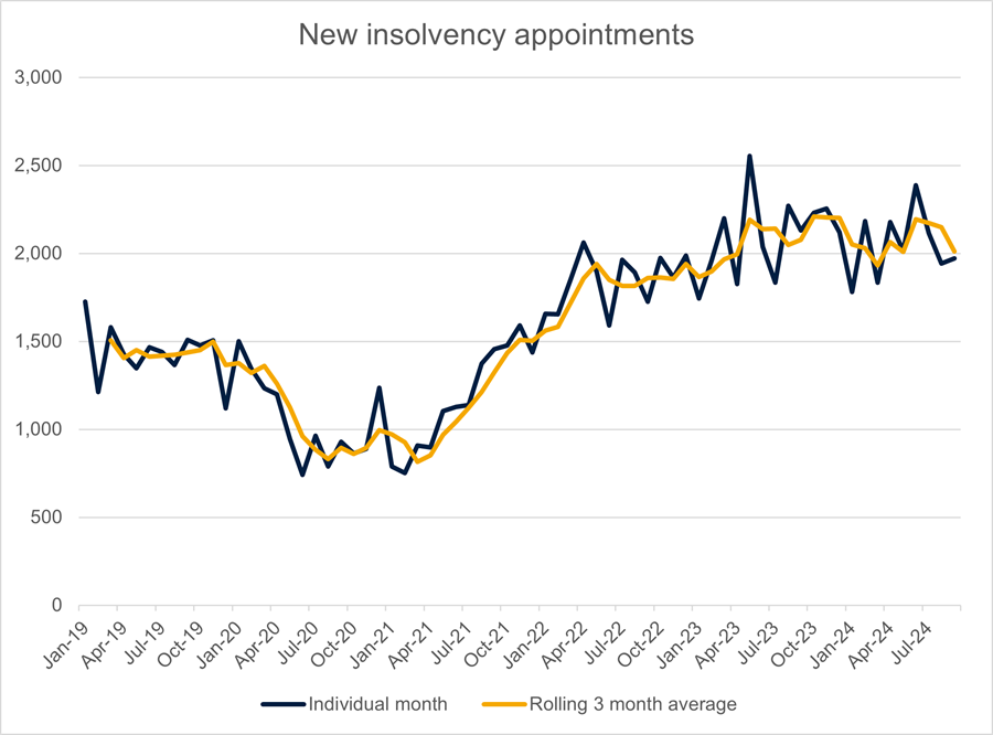 New insolvency appointment