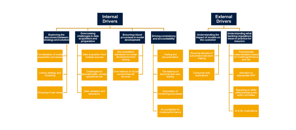 Internal and external opportunities