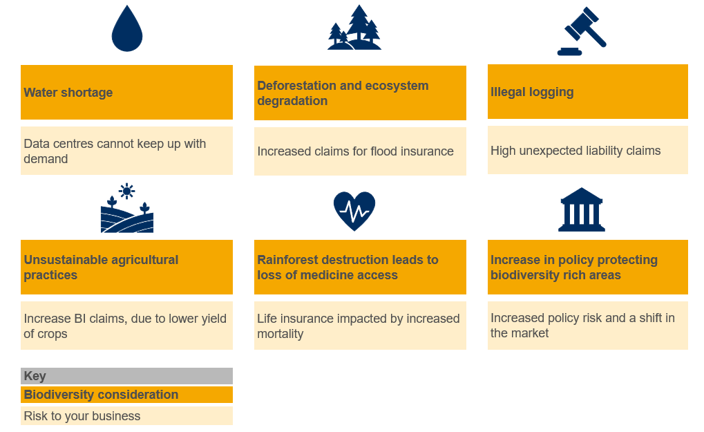 Nature and Biodiversity