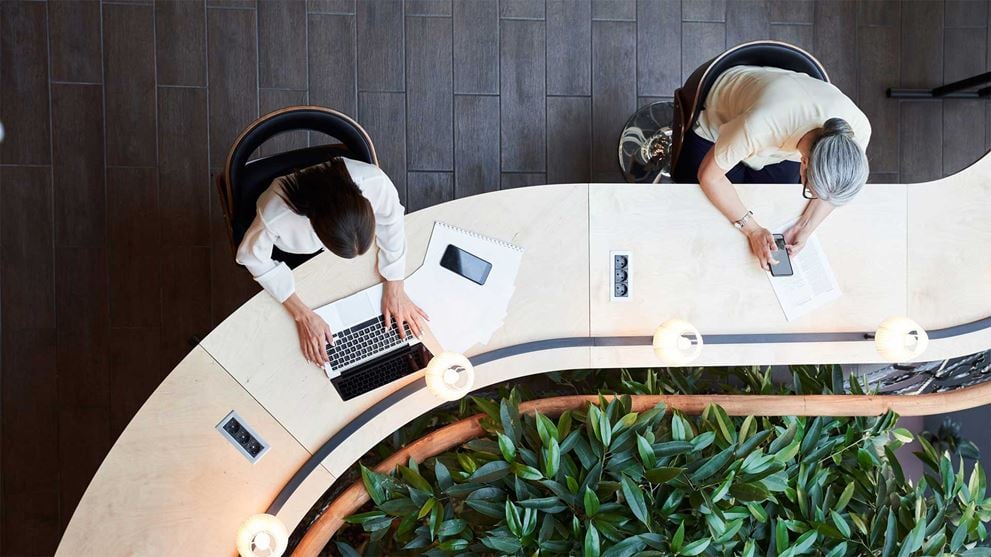 Aerial view of office workers
