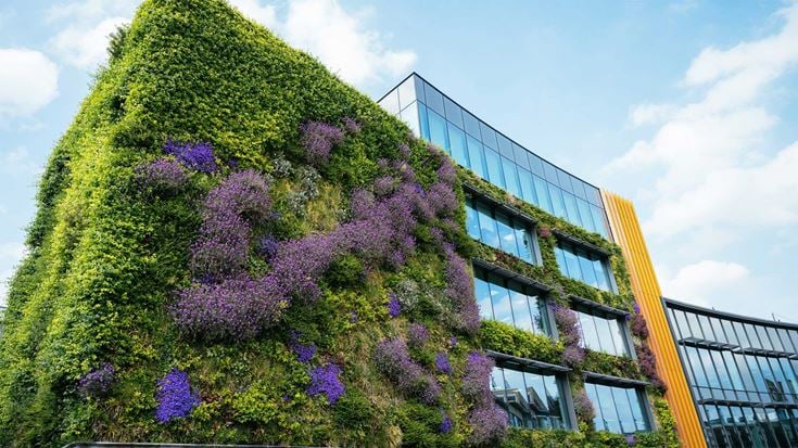 Buildings in greenery