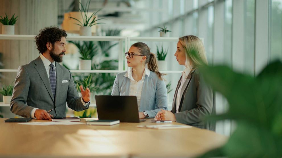 Colleagues in a meeting