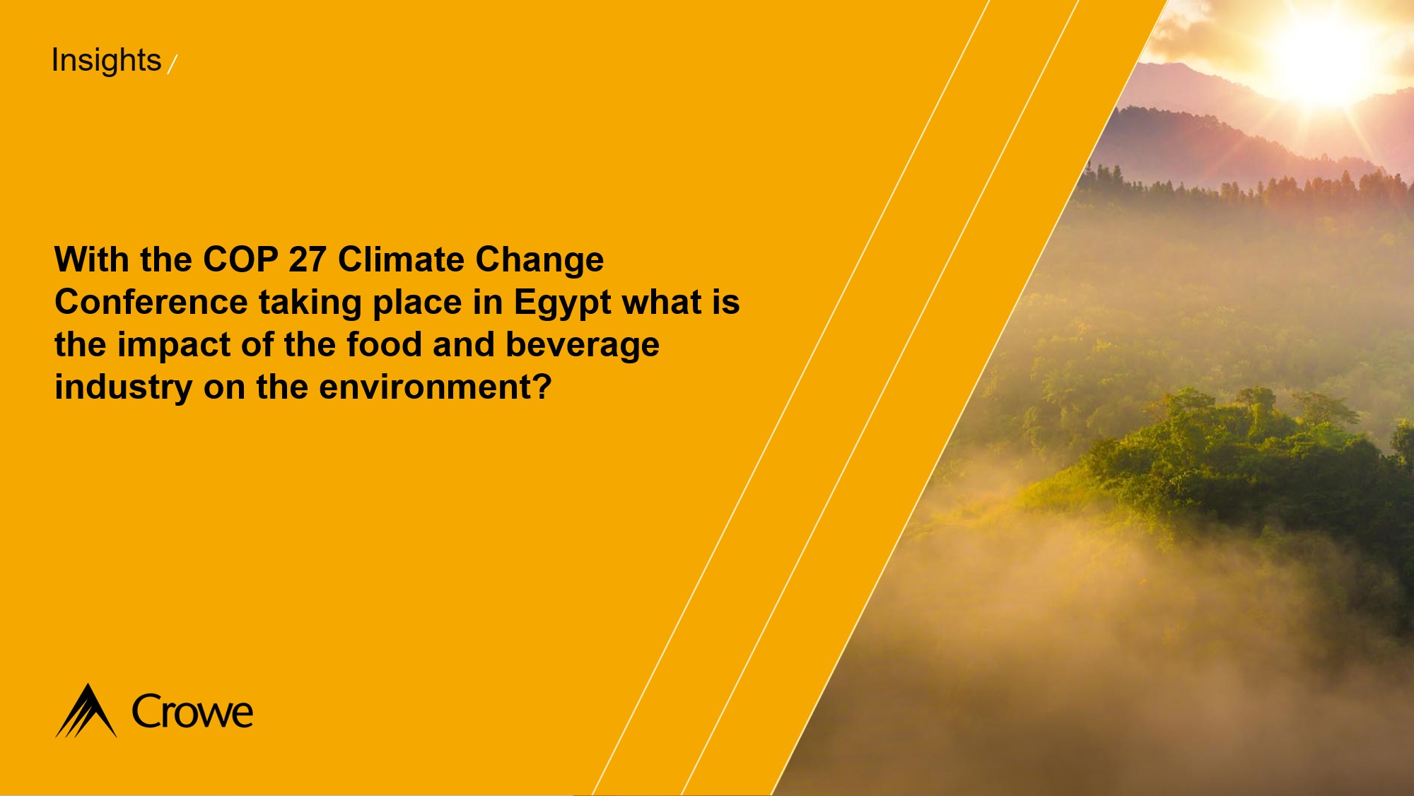 COP27 Impact on the Food & Beverage industry Crowe UK