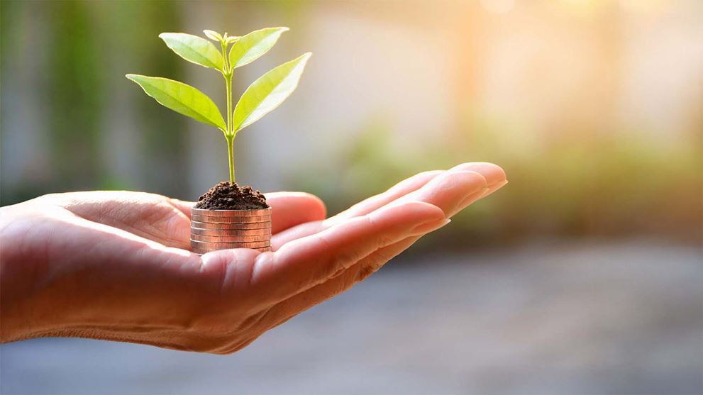 holding sprout on coins