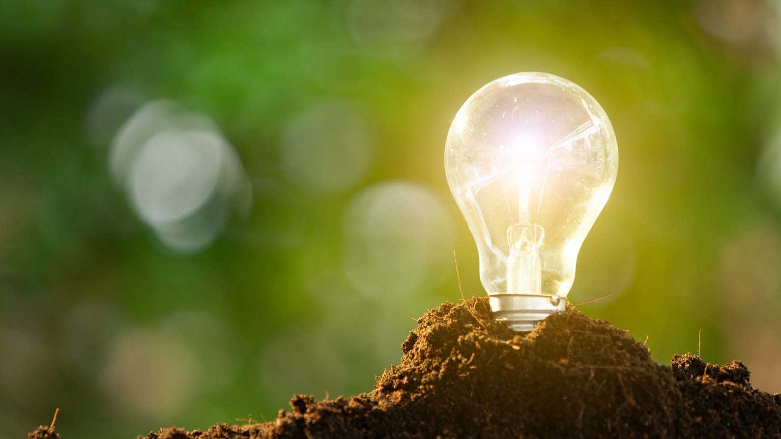 lightbulb-in-the-ground
