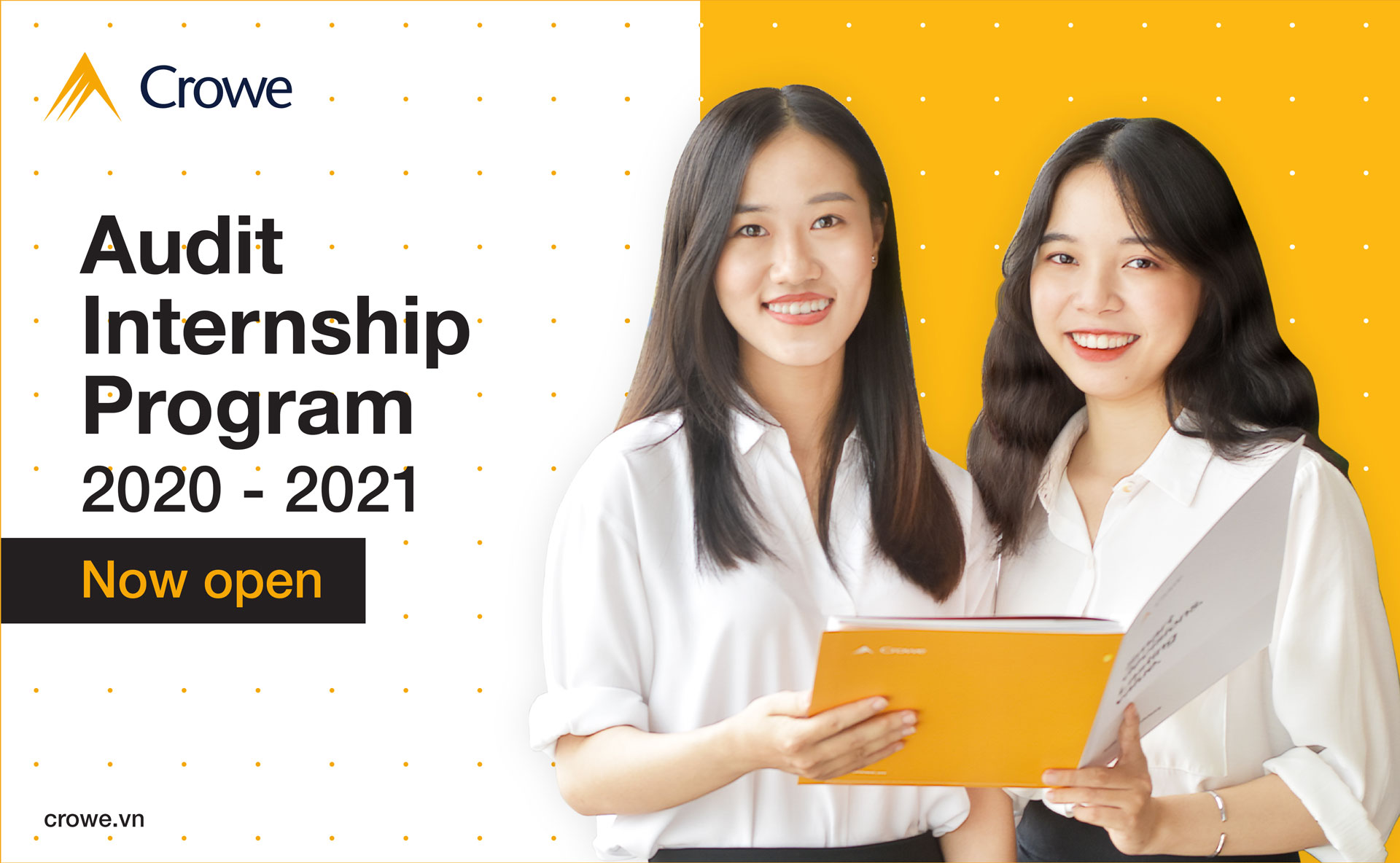Audit Internship 2020-2021