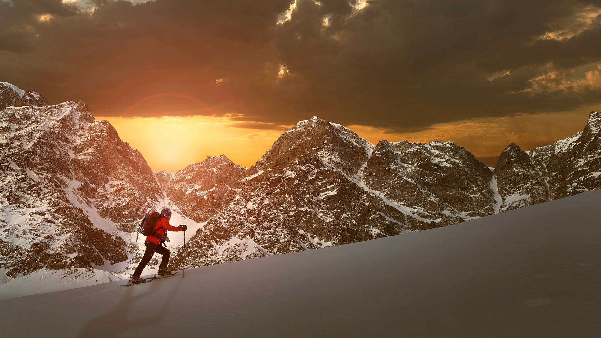 Crowe tăng trưởng 8 năm liên tiếp