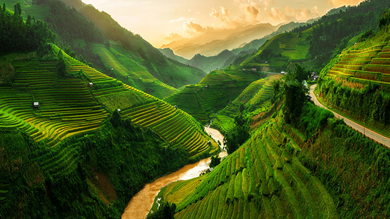 Doing business in Vietnam- North