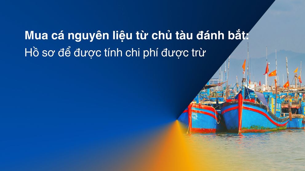 Mua cá nguyên liệu từ chủ tàu đánh bắt: Hồ sơ để được tính chi phí được trừ