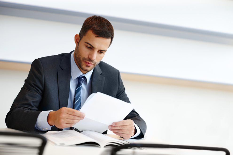 Audit Opinion